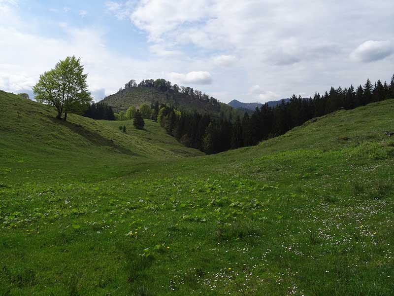 Hochkogel